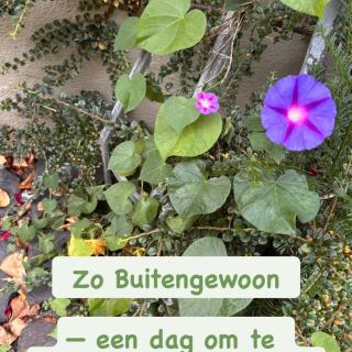 🌿 Ben jij coach en nieuwsgierig naar wat andere coaches in hun praktijk gebruiken? Dan is Zo Buitengewoon op zondag 6 september een mooie plek om eens uit je eigen bubbel te stappen. Geen grote beurs, geen rijen stands en geen programma waar je van workshop naar workshop moet rennen. Wel een ontspannen dag buiten, tussen de fruitbomen, met ruimte voor ontmoeting, inspiratie en kennismaken met verschillende methodieken, tools en ideeën van collega-coaches. En ik ben erbij! 🌿 Ik verzorg die dag twee workshops waarin ik je laat ervaren wat de ruimte waarin je werkt kan betekenen voor jouw begeleiding én voor je cliënt. Want jouw praktijkruimte is meer dan de plek waar je gesprekken voert.  De ruimte kan jouw werk ondersteunen, de ervaring van je cliënt verdiepen en jou helpen om met meer rust en focus te werken. Daarnaast sta ik met een eigen kraam op het inspiratieplein. Dus wil je eens kennismaken met mijn manier van kijken naar ruimte, Feng Shui en holistische interieurarchitectuur? Kom vooral even bij me langs. Geen verkooppraatje, wel nieuwsgierig samen kijken naar wat jouw praktijkruimte je vertelt en wat er misschien nog mogelijk is. Ik verheug me op een dag vol ontmoeting, nieuwe ideeën, mooie gesprekken en natuurlijk een beetje buitengewoon.🌳✨ 📍 Gendt – tussen Arnhem en Nijmegen 🗓️ Zondag 6 september 2026 ⏰ 10.00 – 16.00 uur Zie ik je daar? #ZoBuitengewoon #coaches #praktijkruimte #Arjenmettrop